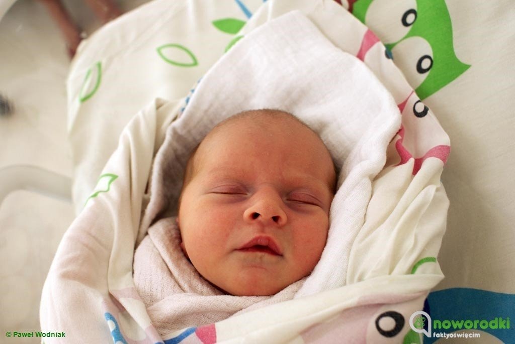 Witamy Tosię, Dominikę, Damiana, Olka, Maksa i Oliwiera – FOTO