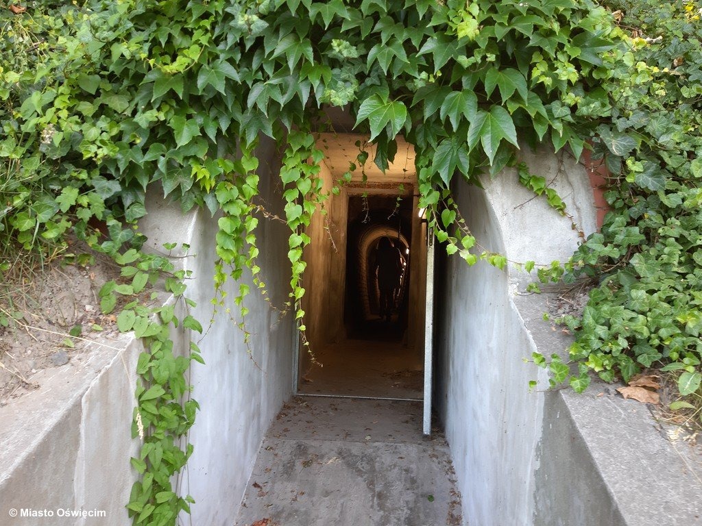 Tunele pod zamkiem gotowe do zwiedzania w przyszłym roku – FOTO