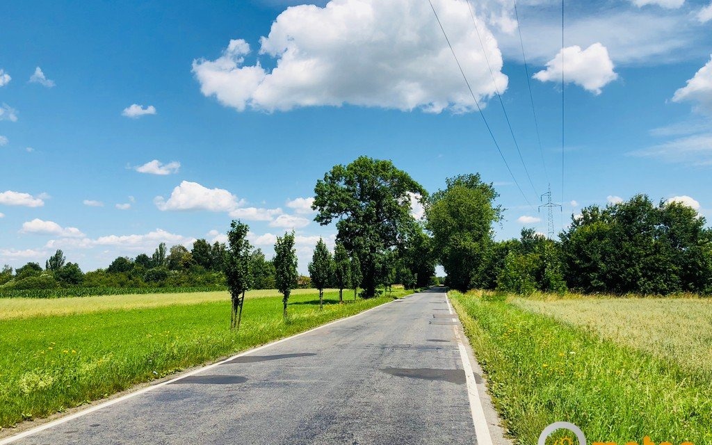 Na razie nie widać znacznego ocieplenia