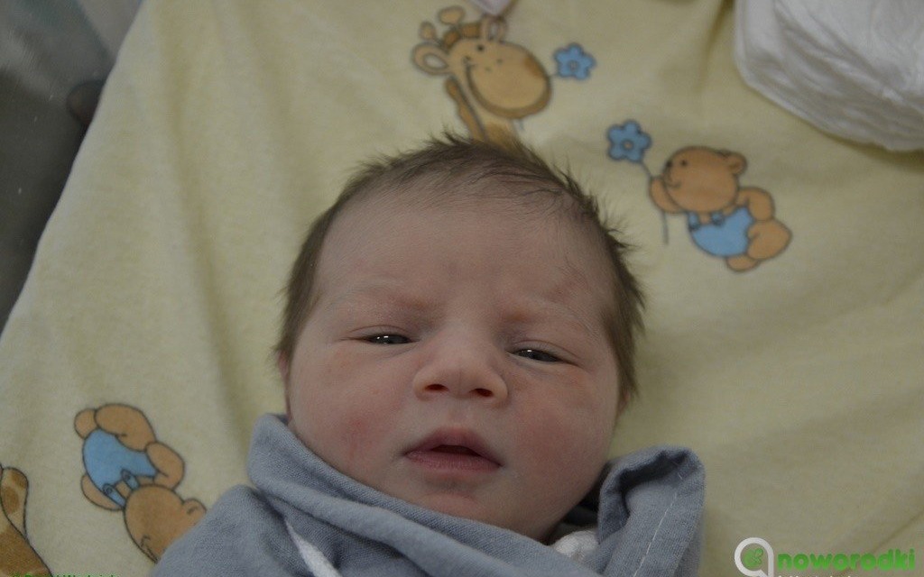 Witamy dwie damy i ośmiu dżentelmenów – FOTO