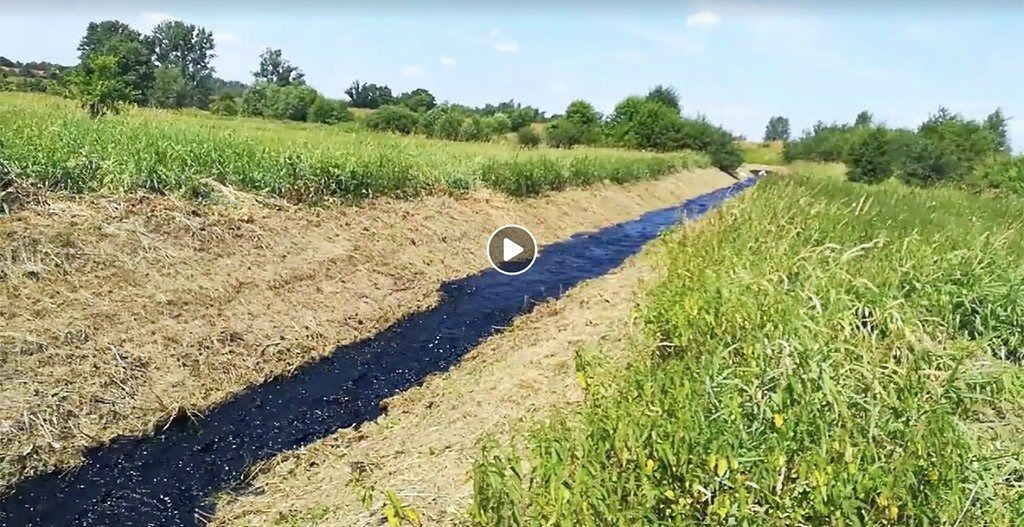 Czarny szlam pojawił się w Wiśle – FILMY