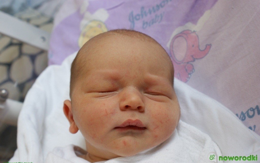 Witamy dzisiaj samych chłopaków – FOTO