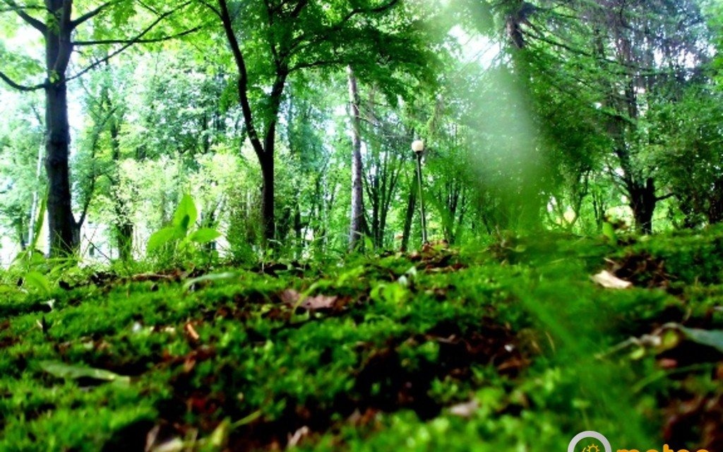 Kiedy będzie ciepło?