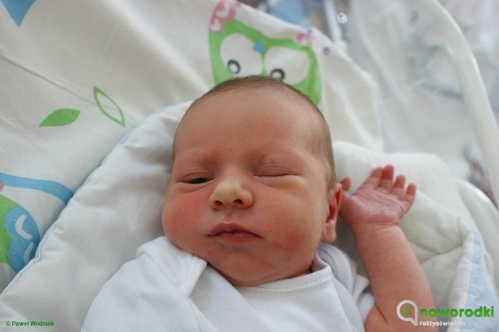 Witamy noworodki. Tym razem pół na pół – FOTO