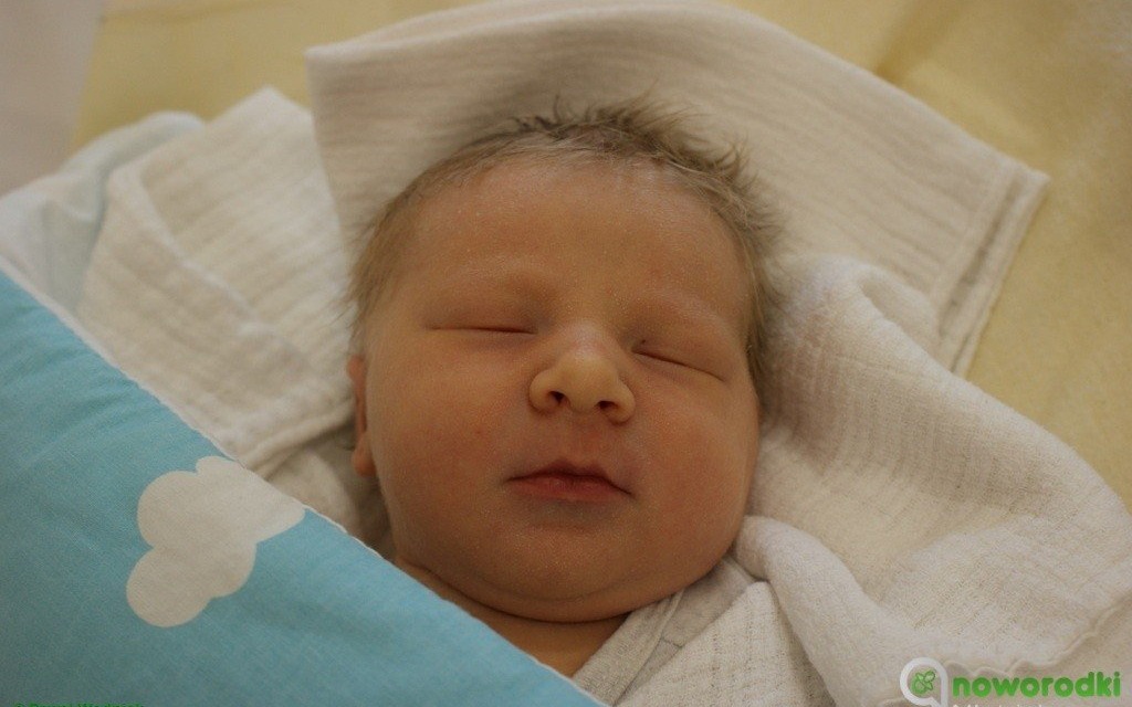 Witamy Zosię, Milenkę, Liwię, Gabriela i Bruna – FOTO