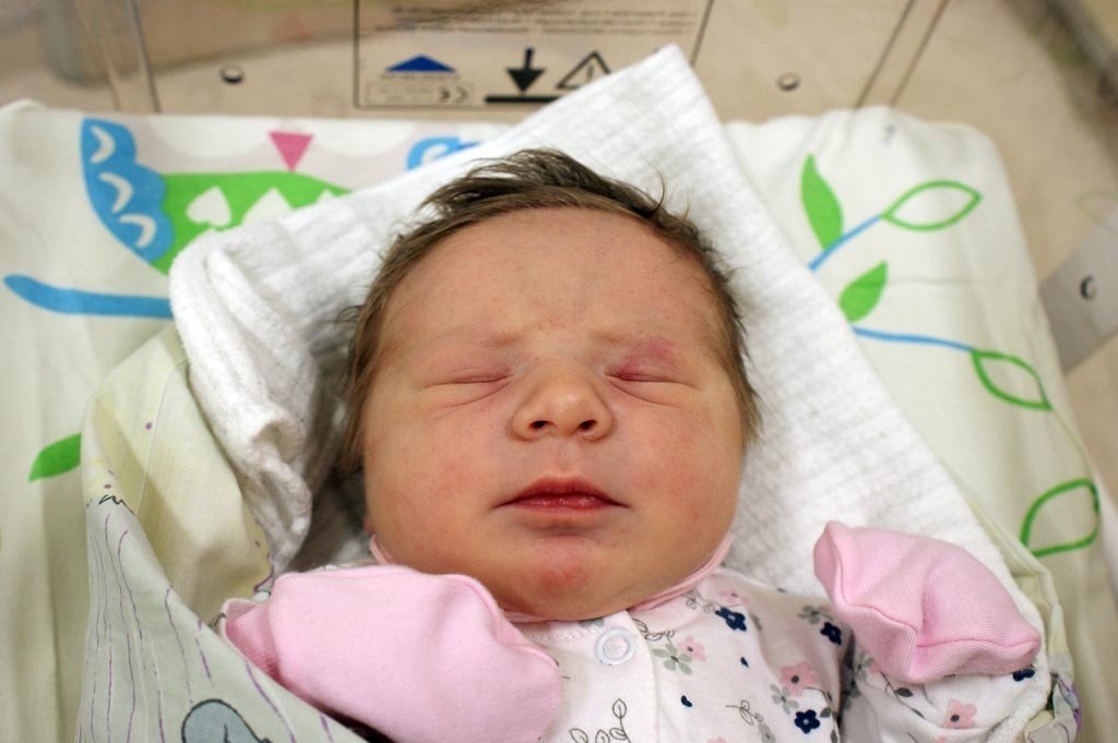 Witamy siódemkę wspaniałych – FOTO