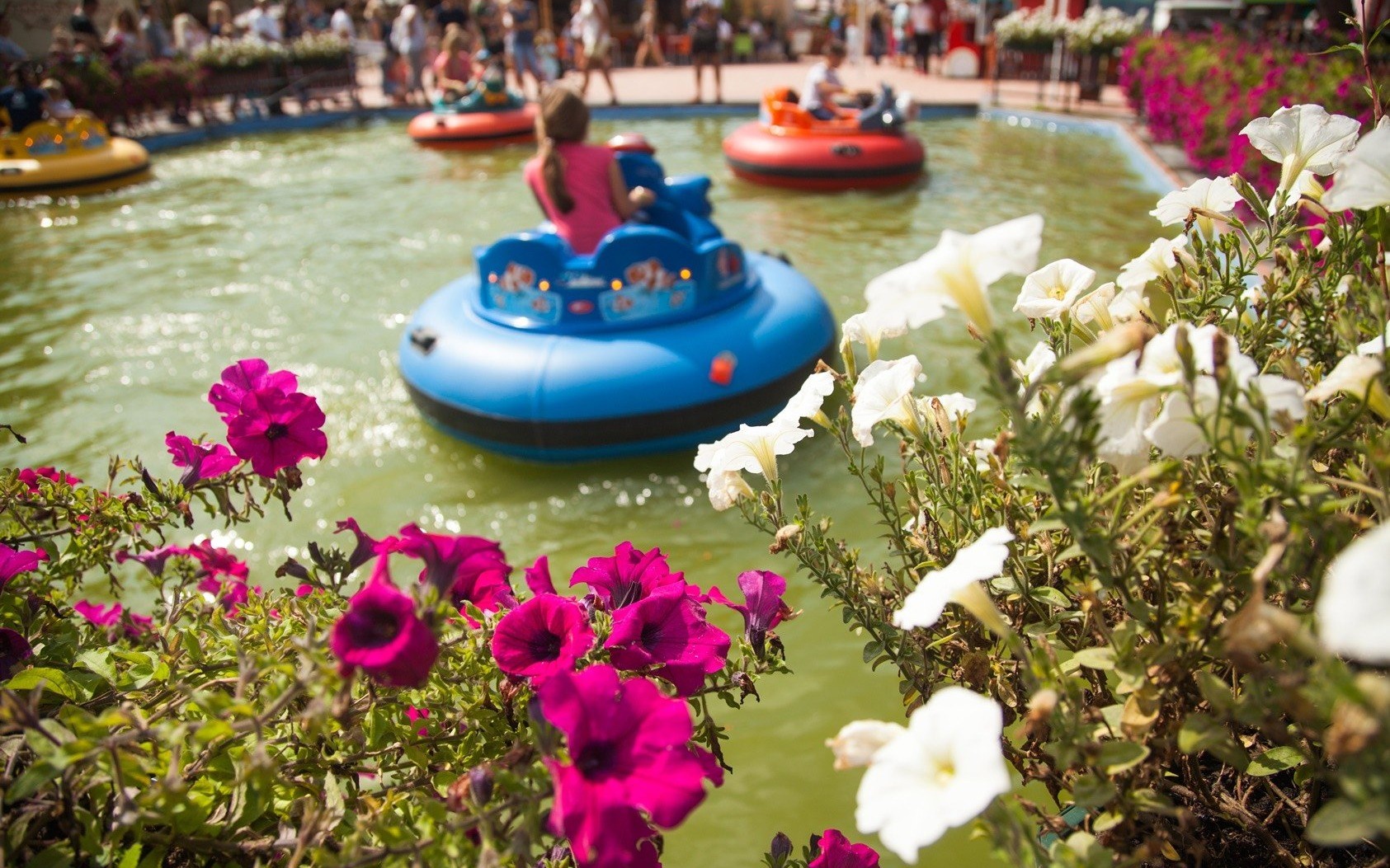 Dolina Trzmiela tańczy w Rabkolandzie