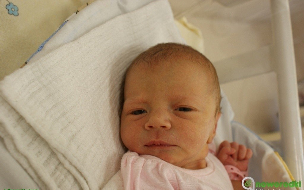 Witamy kolejną siódemeczkę maluchów – FOTO