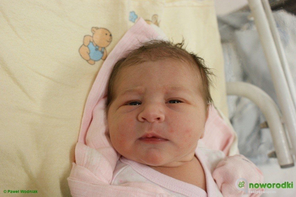 Witamy sześć panien i dwóch kawalerów – FOTO