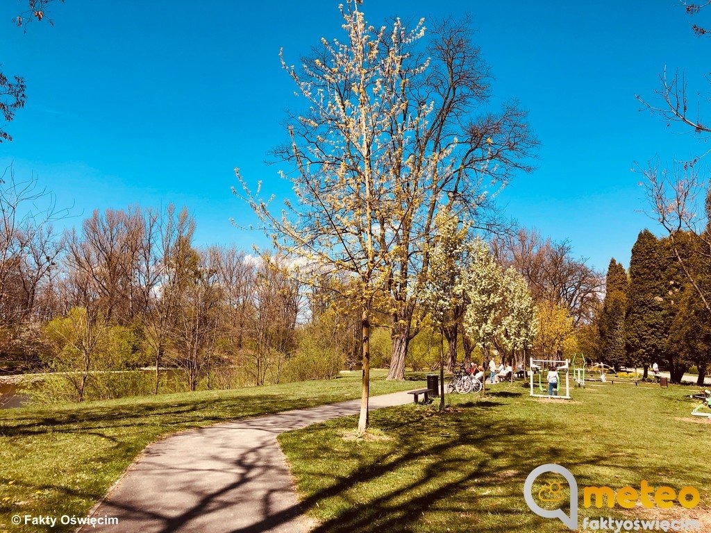 Przelotny deszcz i burze. Na chwilę powróci też upał