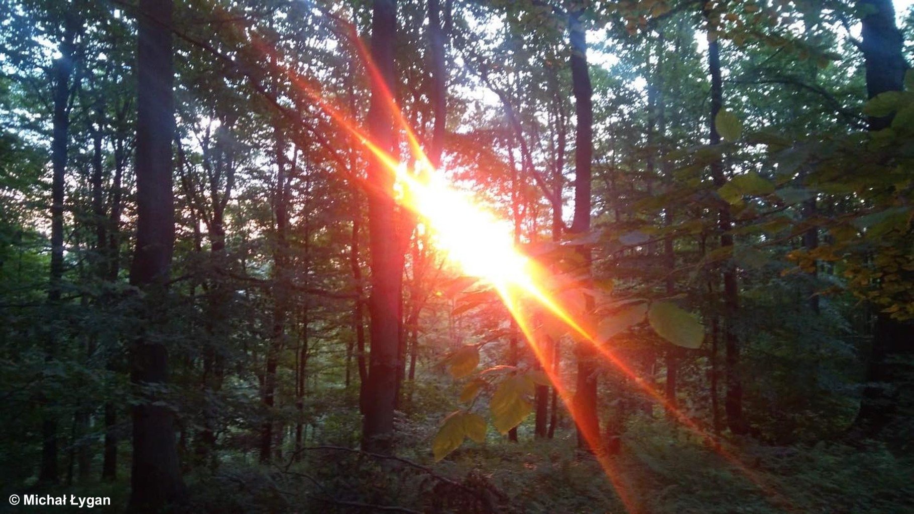 Wędrówka dla Dwóch Serc. 200 kilometrów w nogach Michała