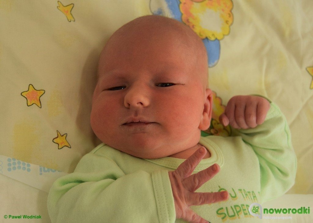 Witamy dziewięć dziewczynek i ośmiu chłopców – FOTO