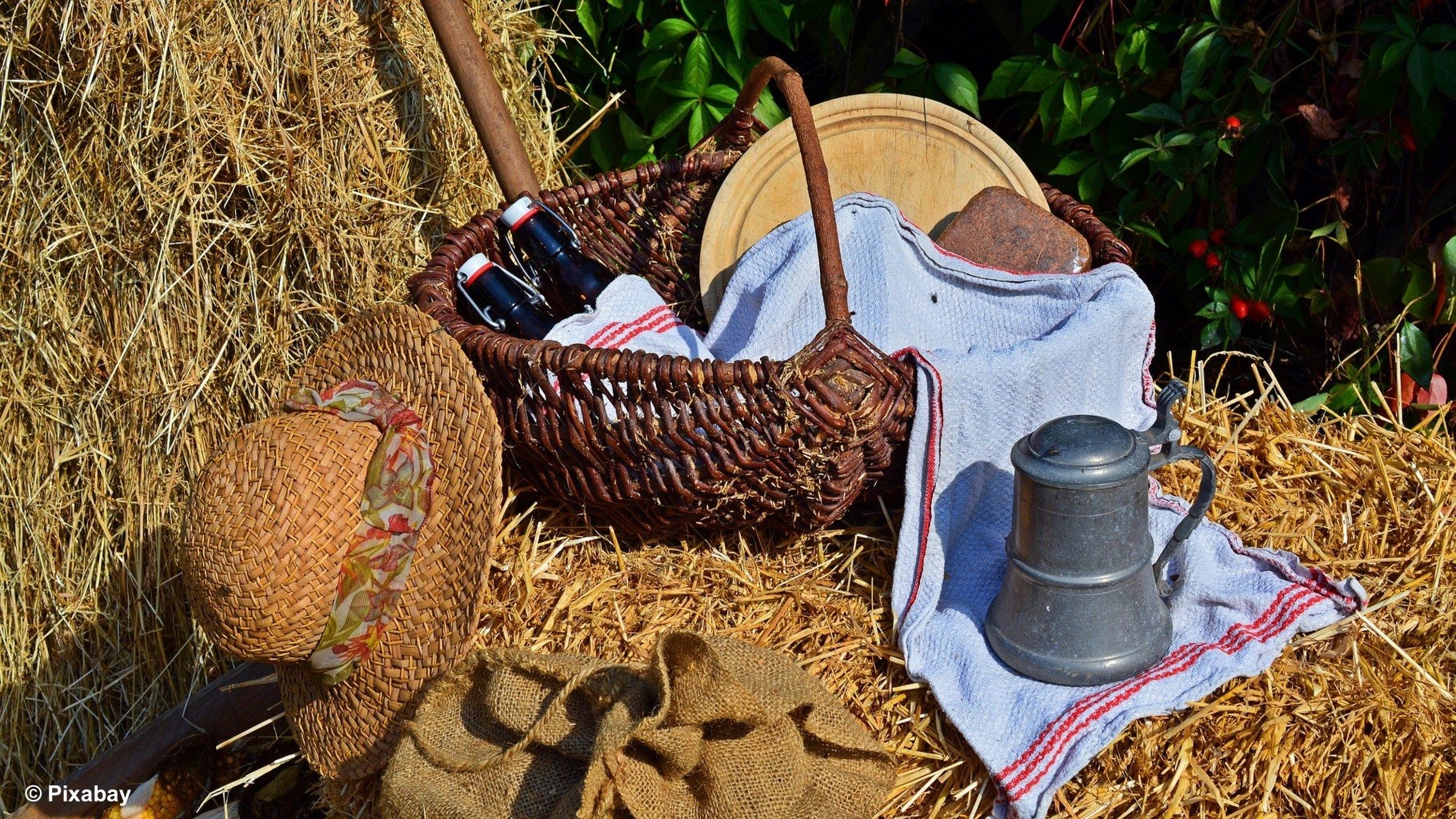 Lombard gwiazdą wojewódzkich dożynek