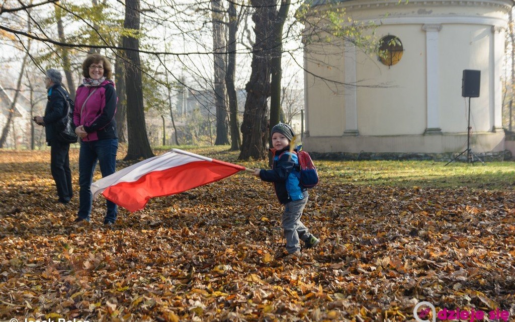Piknik historyczny u Hallera