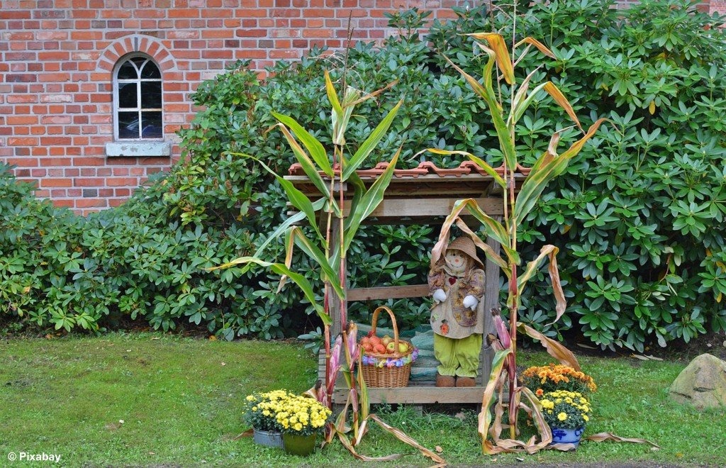 Kiedy i gdzie podziękują za plony