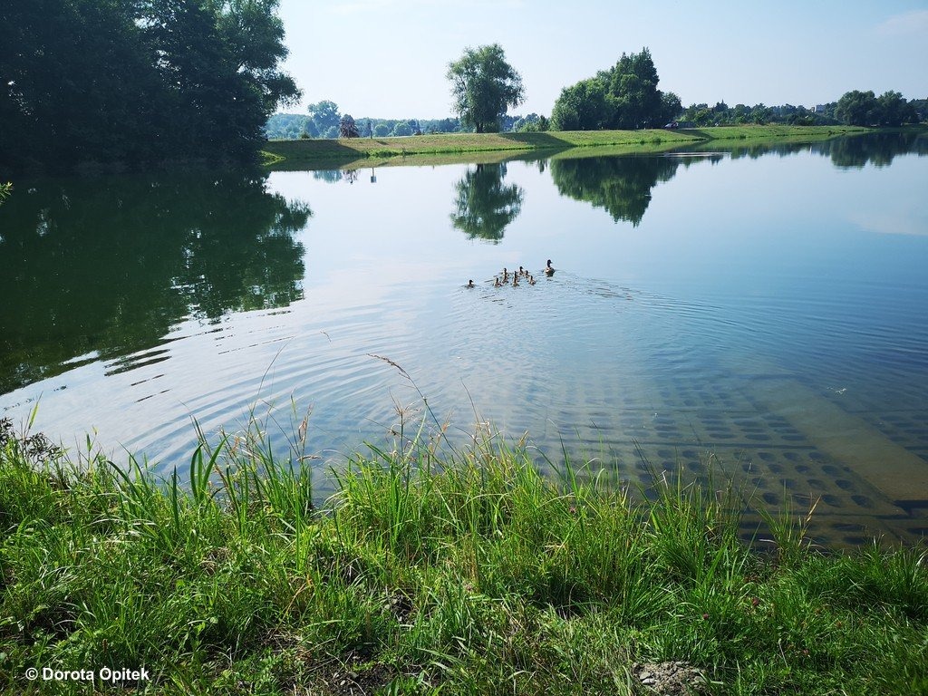 To będzie piękny dzień