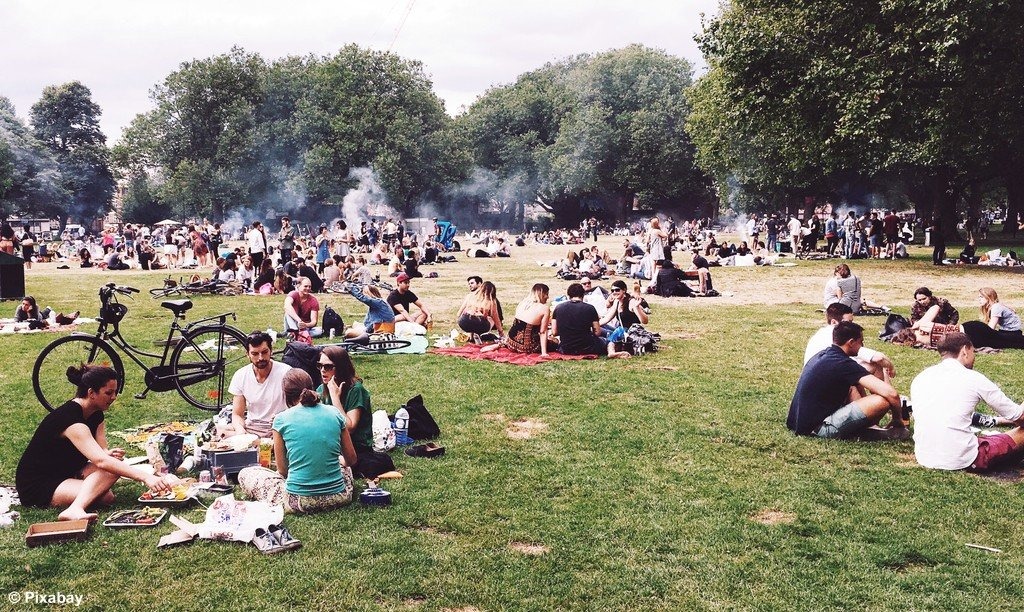 Piknikuj z NGO i zgarnij słodkie prezenty