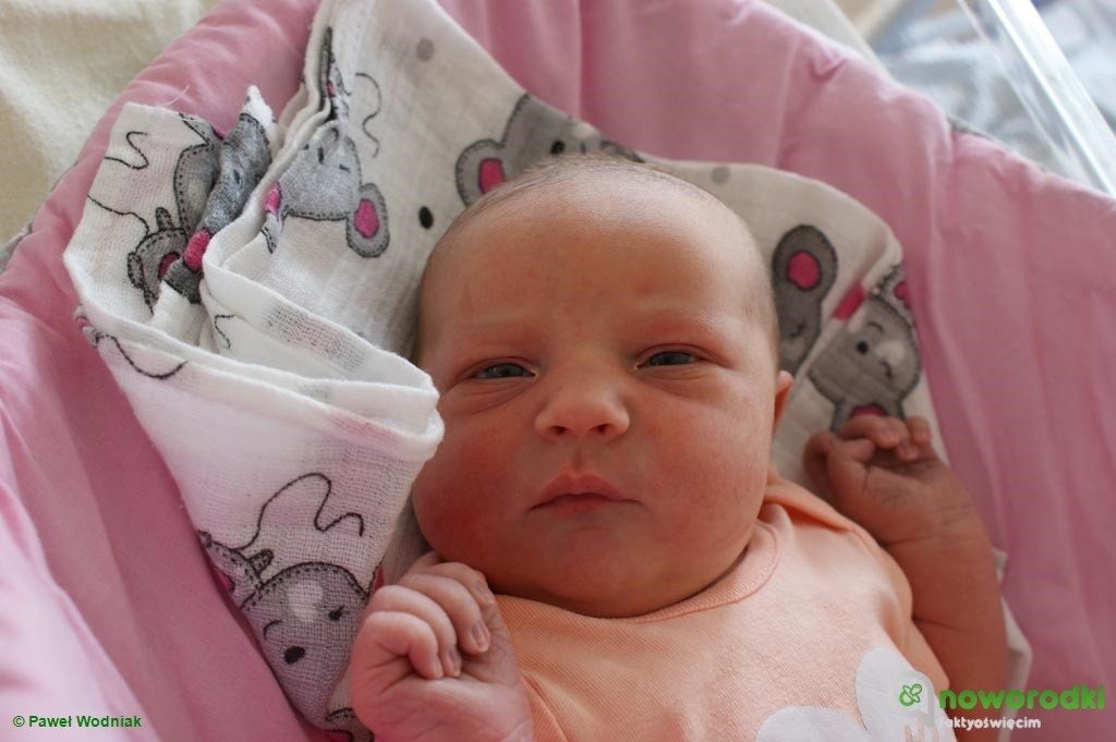 Witamy pięć dziewczyn i czterech chłopców – FOTO