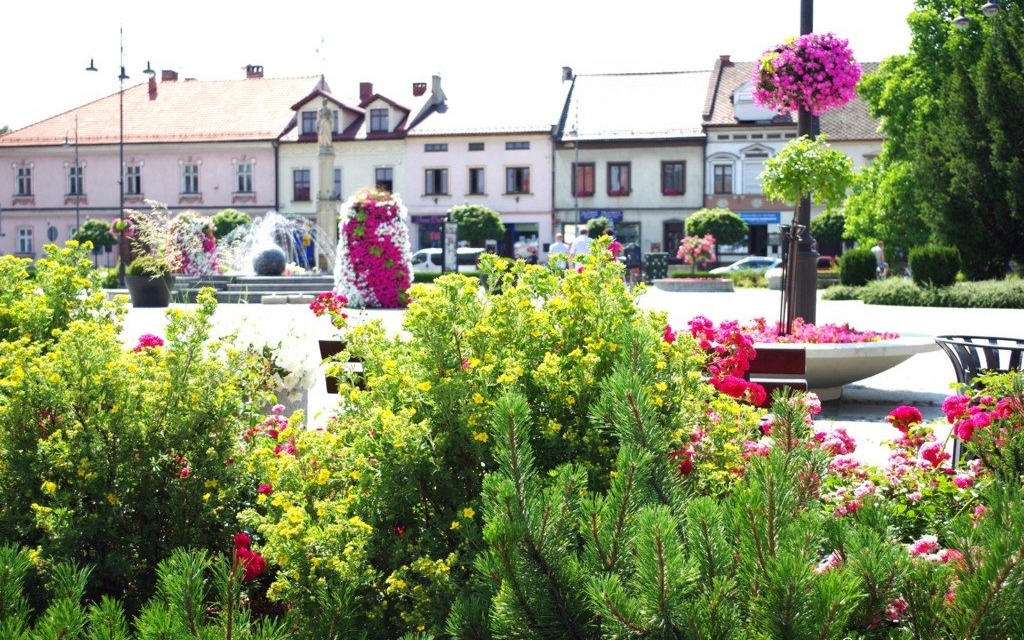 Kęty najpiękniej ukwieconym miastem w Małopolsce – FOTO