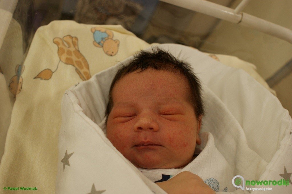 Witamy dziś ośmiu królewiczów i jedną księżniczkę – FOTO