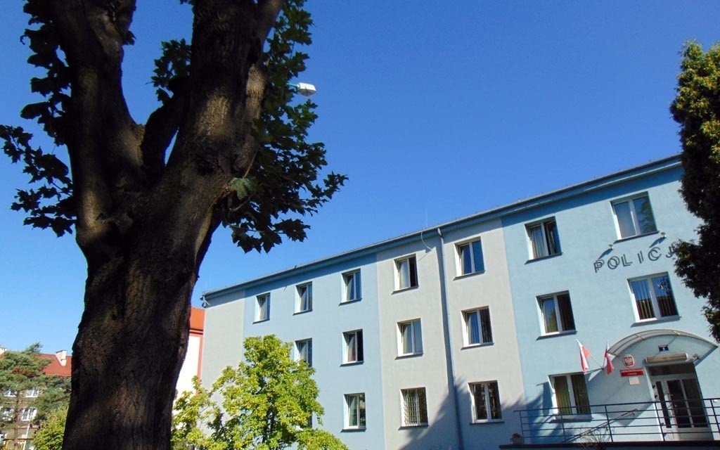 Zaatakowało go drzewo i stracił przytomność