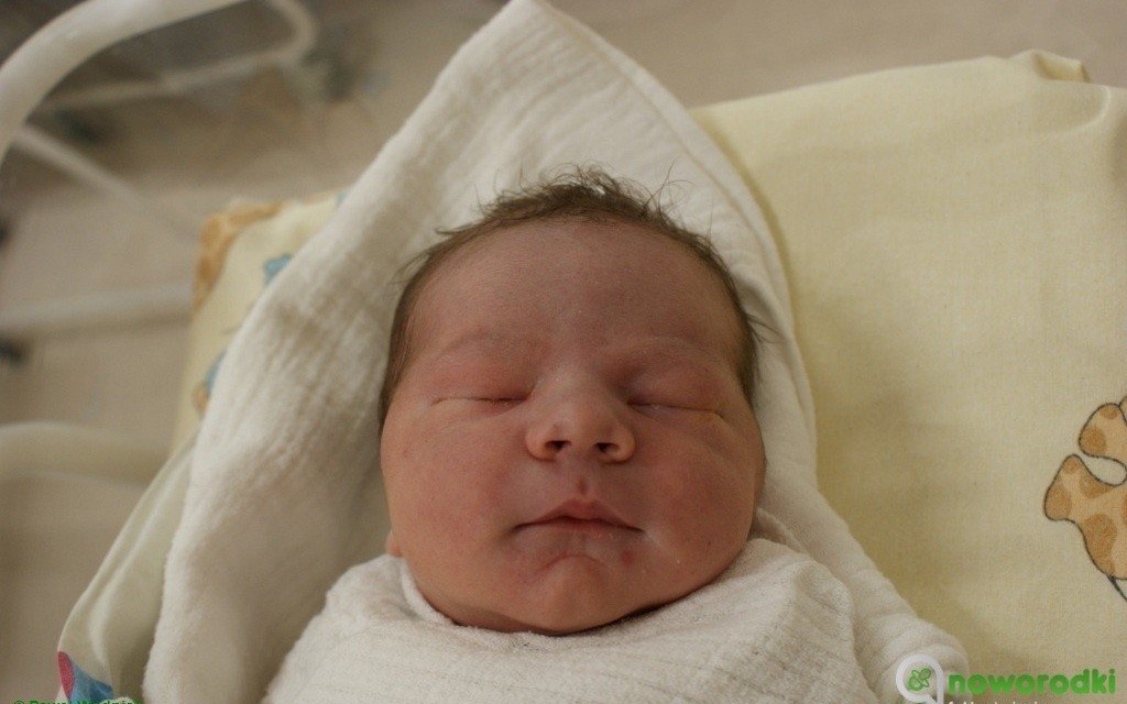 Witamy siódemeczkę wspaniałych – FOTO