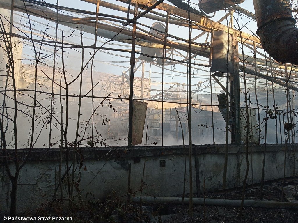 Płonęły opuszczone hale. Dym było widać z daleka – FOTO