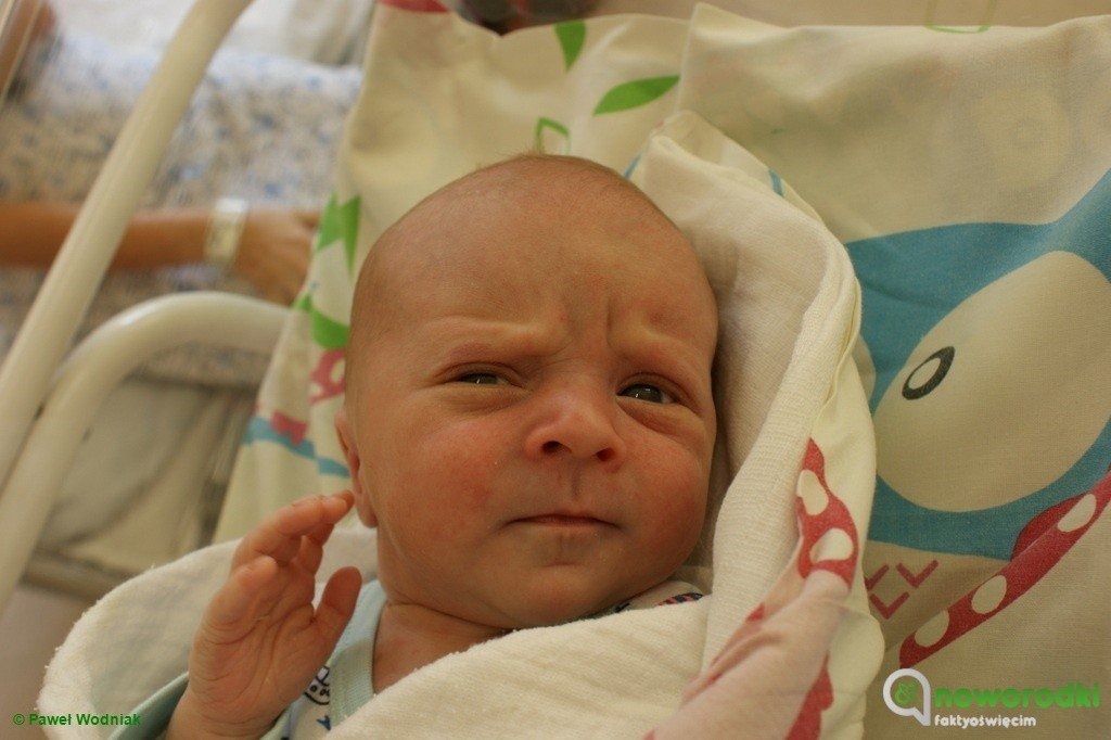 Witamy osiemnastkę noworodków – FOTO