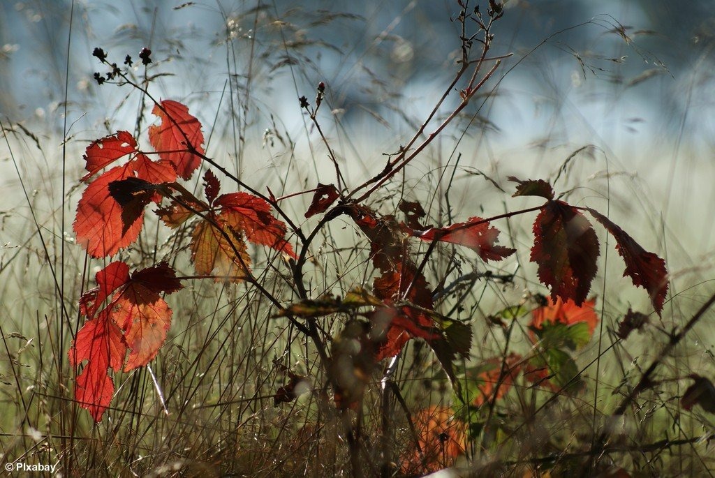 Wietrzny koniec tygodnia