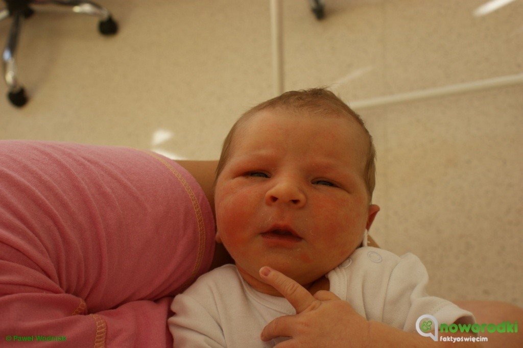 Witamy wspaniałą dwunastkę – FOTO