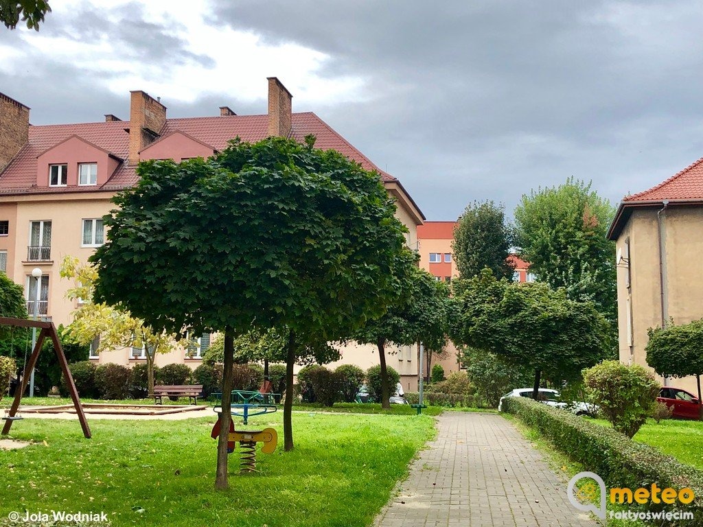 Deszcz i silny wiatr