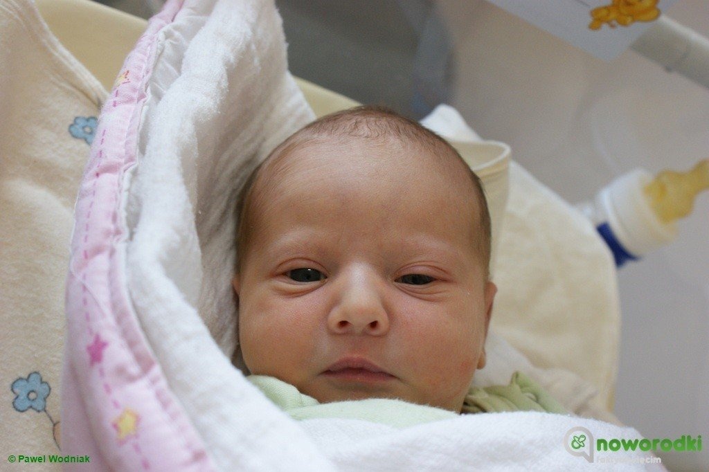 Witamy siedmioro wspaniałych – FOTO