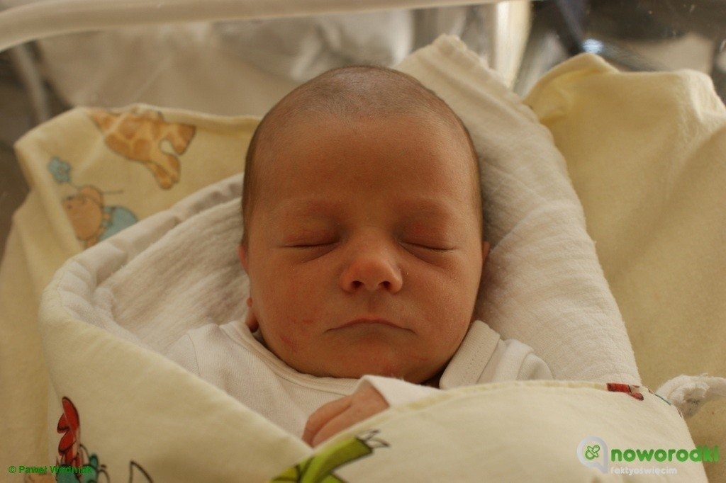 Dzisiaj witamy cztery pary – FOTO