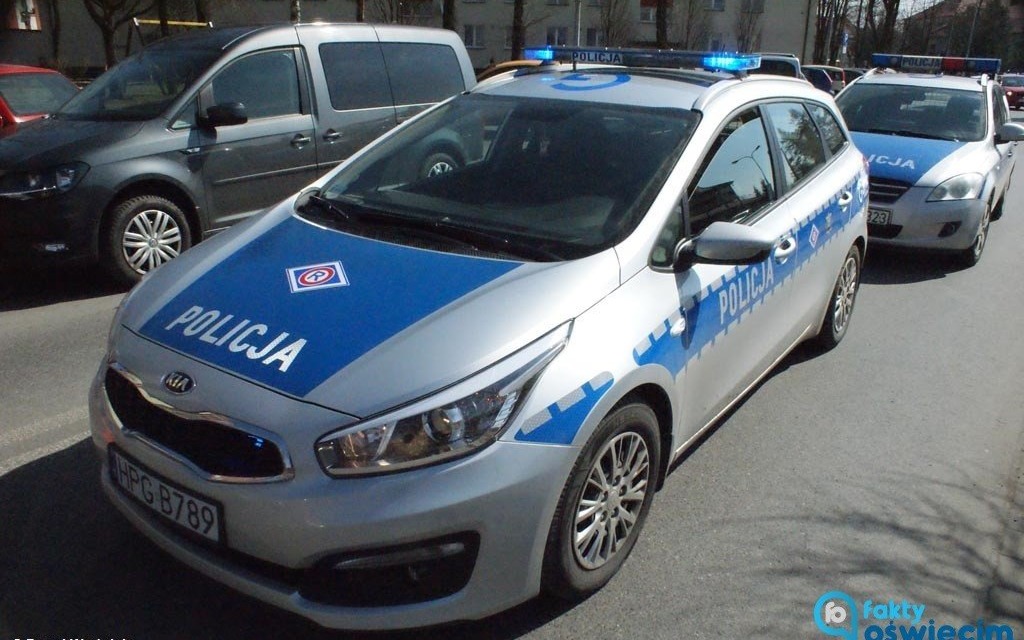 Promile za kierownicą