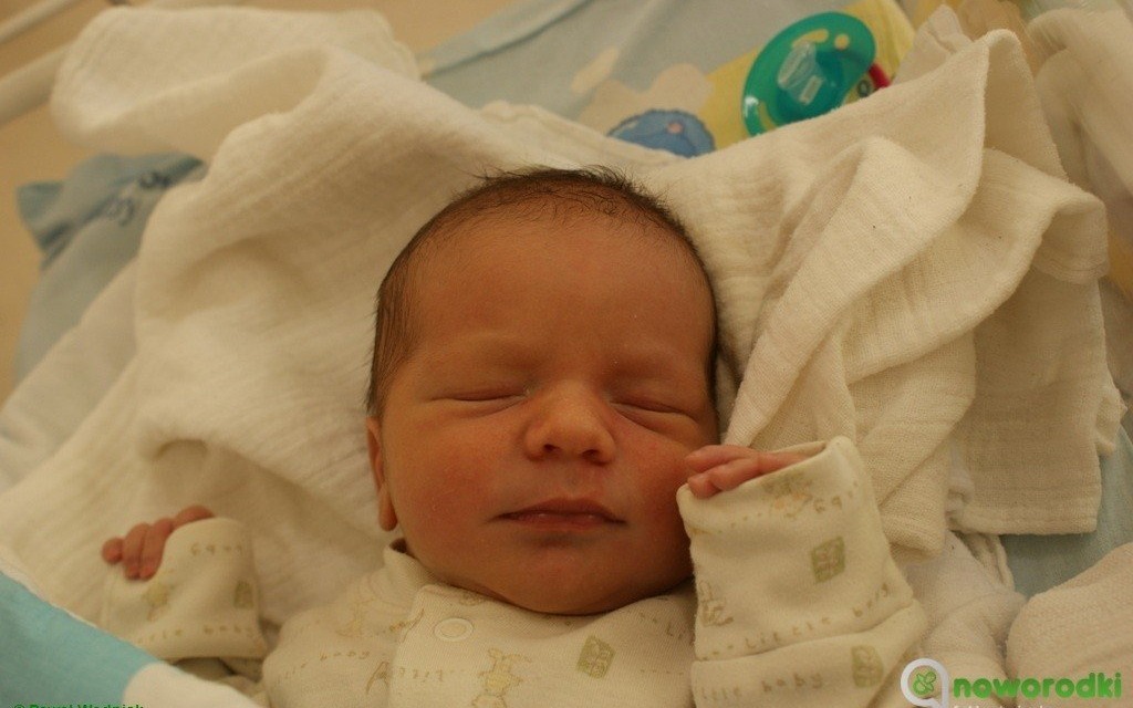 Witamy maluchy. Wszystkie spoza Oświęcimia – FOTO