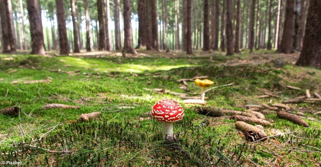 Od środy chłodniej