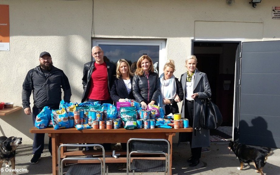 Kilkadziesiąt kilogramów dobra dla kociaków