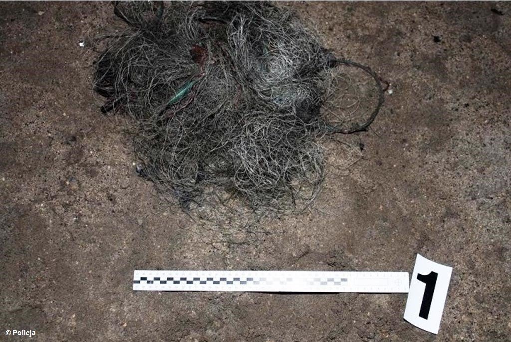 Złapali kłusownika na gorącym uczynku