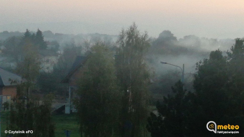 Drodzy Państwo, coś tu śmierdzi – FILM, FOTO