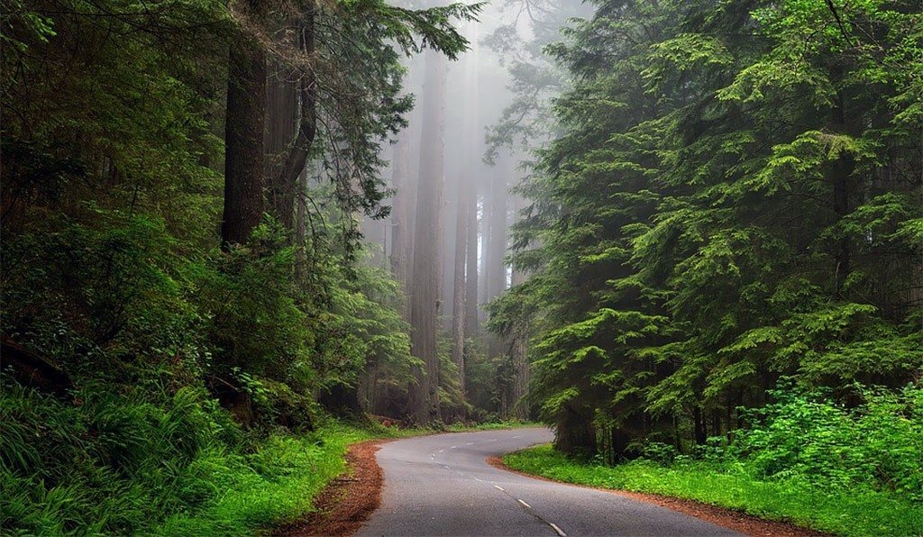 Stop Smog – nowy program eliminacji kopciuchów