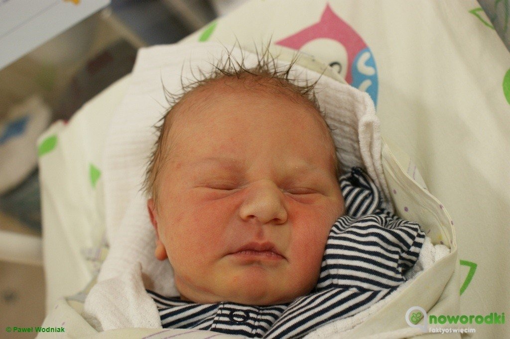 Witamy jedenaścioro maluchów – FOTO