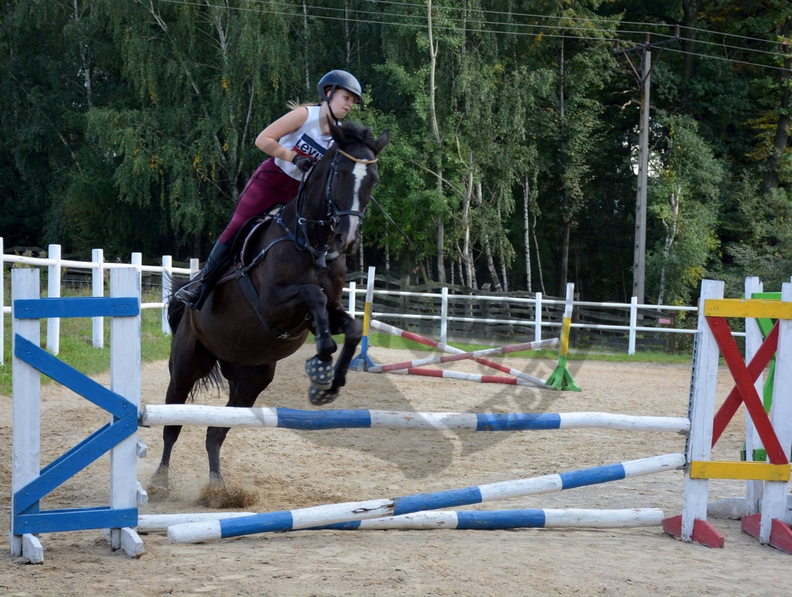 W niedzielę zawody jeździeckie Hubertus