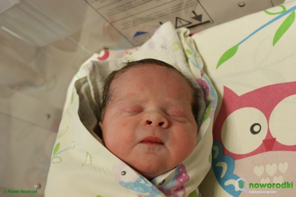 I znów siódemka wspaniałych. Witamy – FOTO