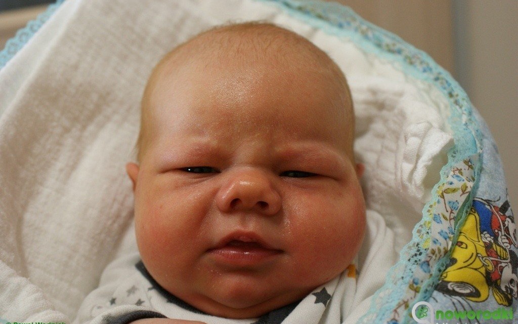 Witamy dziesięcioro noworodków – FOTO