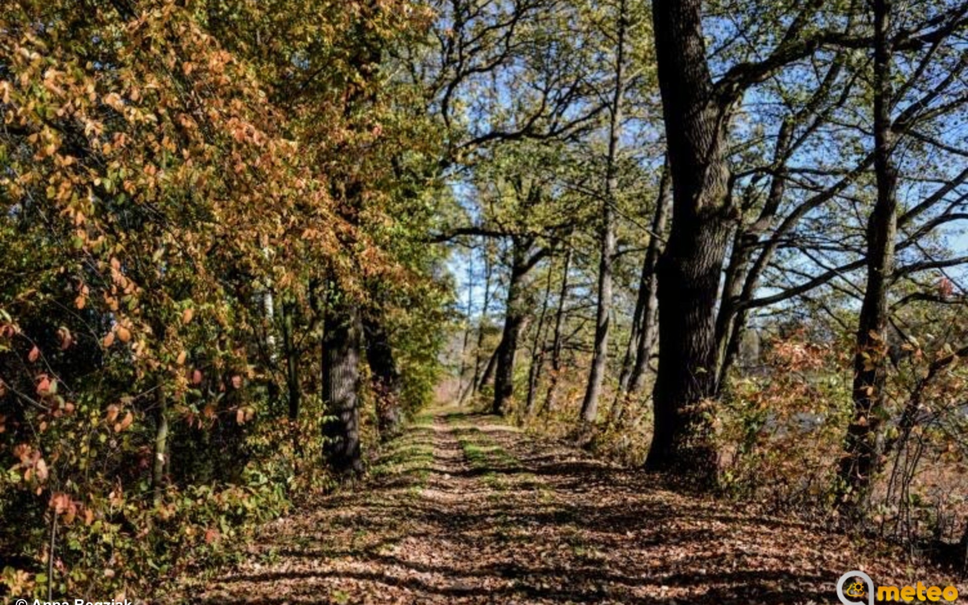 Nawet 12 stopni Celsjusza