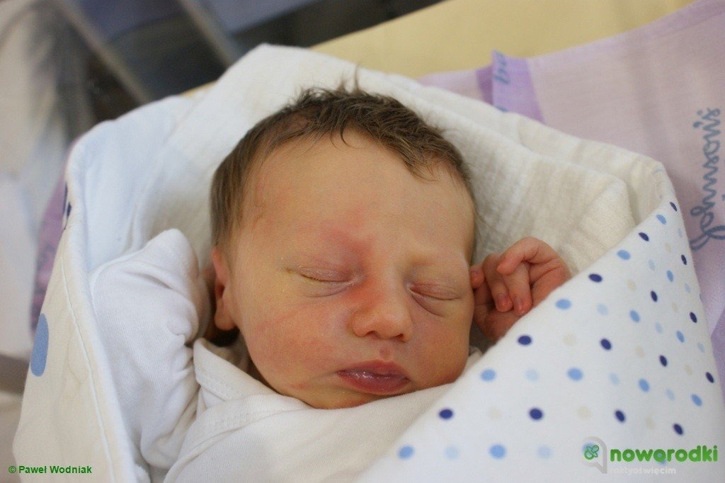 Witamy Martynę, Zosię, Fabiana i dwóch Janków – FOTO