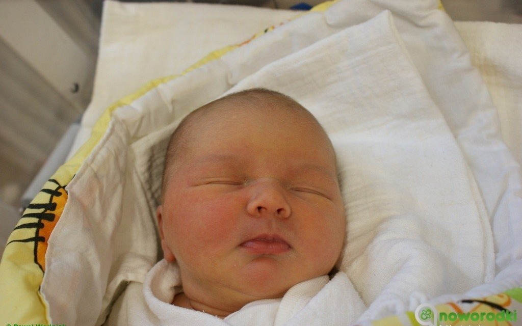 Witamy maluchy i zapraszamy do galerii eFO – FOTO