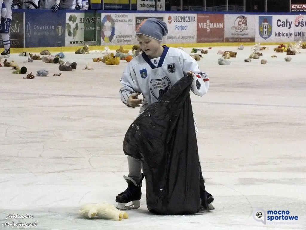 Zdecydujcie, gdzie trafią miśki