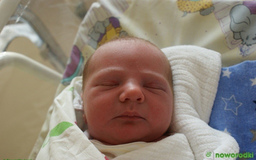 Witamy nasze urocze maluchy – FOTO