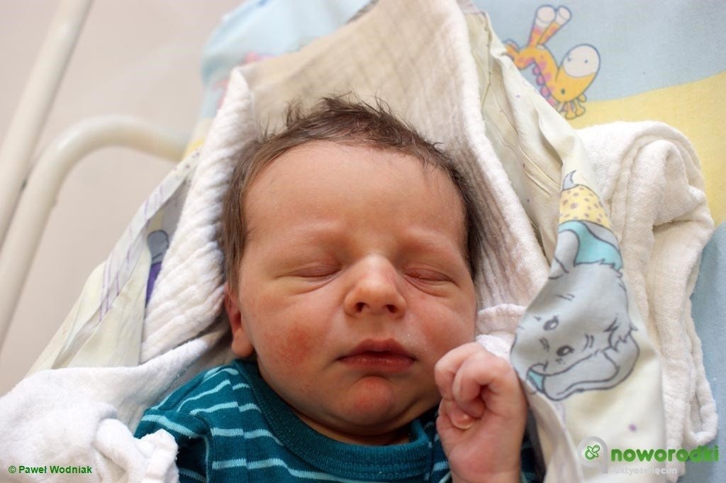 Witamy Zosię, dwóch Filipów, Karola i Oliwiera- FOTO